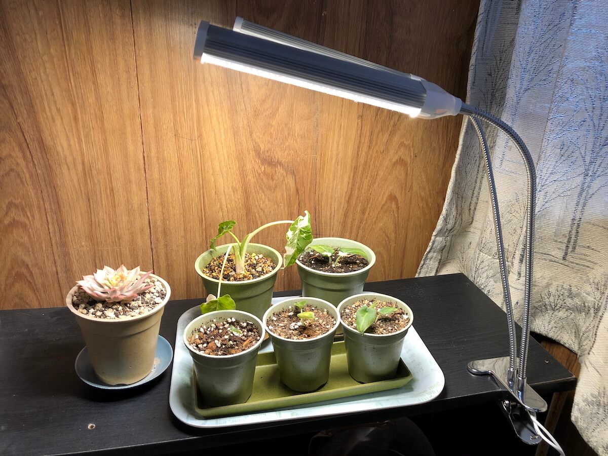 市場 植物育成ライト 栽培 LED LEDライト4本 調光可能 観葉植物 リモコン付 タイマー設定 観葉 太陽光 多肉植物