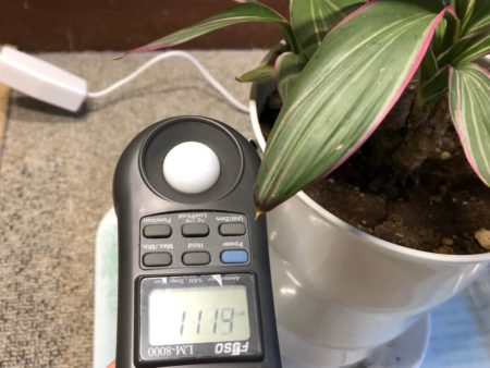 クリップ式植物育成ライトを設置して照度を測定している写真５