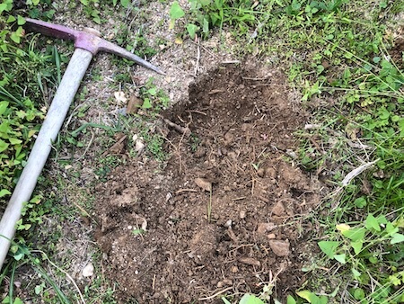 タマリロ（トマトの木）を植える穴を掘った写真