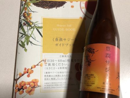 【サジージュースが人気！】日本で購入できるサジーの品種と育て方を説明。